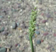 煉jL譓蟊耕K駯:?9e&眸P税刺兛!廉-?6#?O?/惽党淧???]缾鯃?F`2.?褓坎?騇e邅Pli	AD?V詴c゛兔?住?嗥8訪xdJH5鉨?g0?WE???s奂噰`